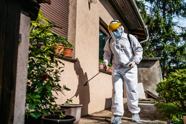 Best Pest Control Near Me in Topanga, CA