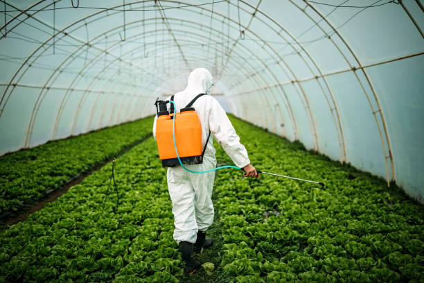 Reliable Topanga, CA Pest Control Solutions