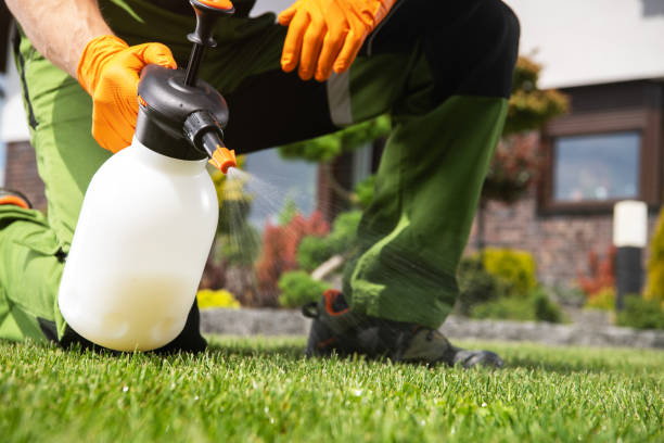 Best Pest Control for Businesses  in Topanga, CA