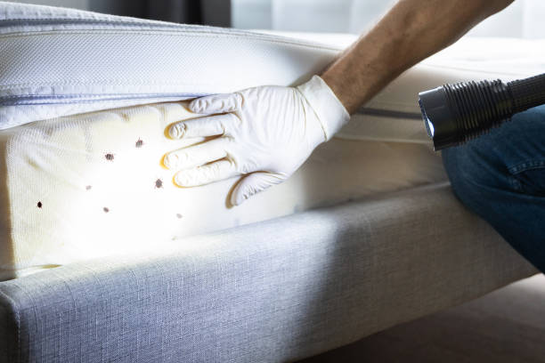 Best Residential Pest Control  in Topanga, CA